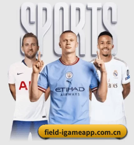 field-igameapp.com.cn的故事 - 体育资讯内容服务 | AYX