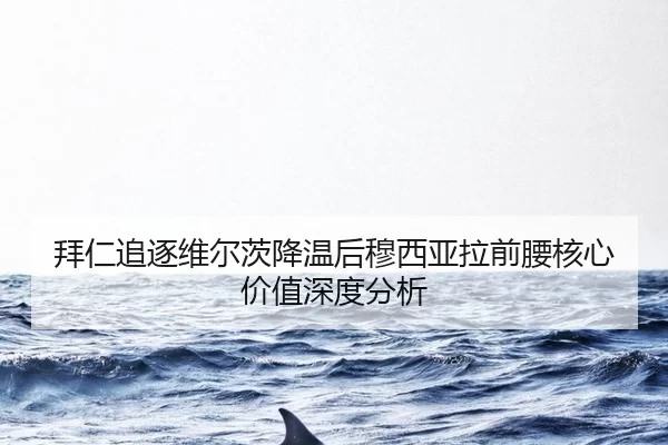 bai-ren-zhui-zhu-wei-er-ci-jiang-wen-hou-mu-xi-ya-la-qian-yao-he-xin-jia-zhi-shen-du-fen-xi-2-789.jpg